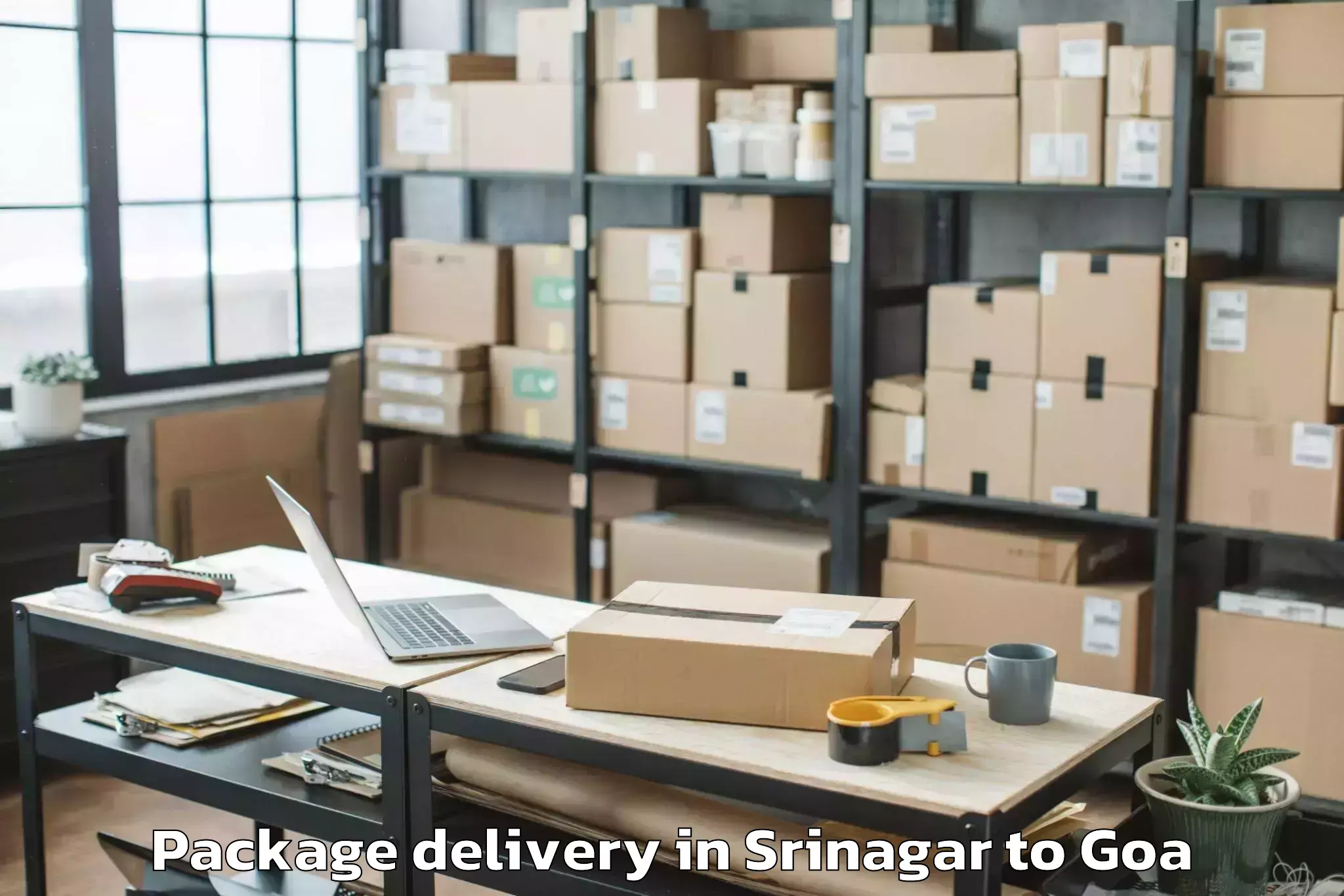 Efficient Srinagar to Dicholi Package Delivery